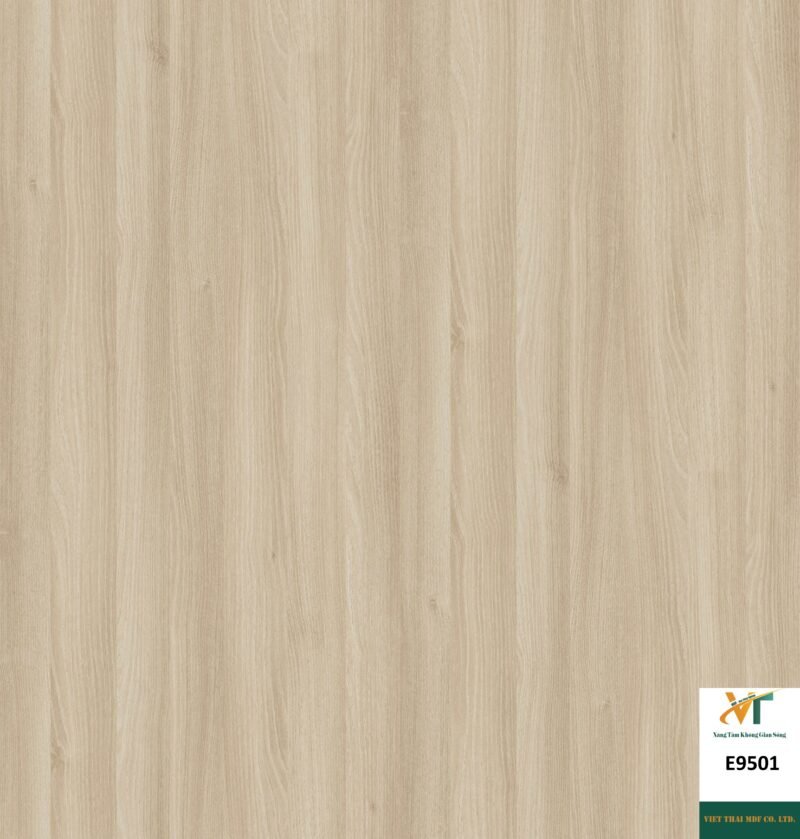 Bst Melamine Việt Thái - Dự án E9