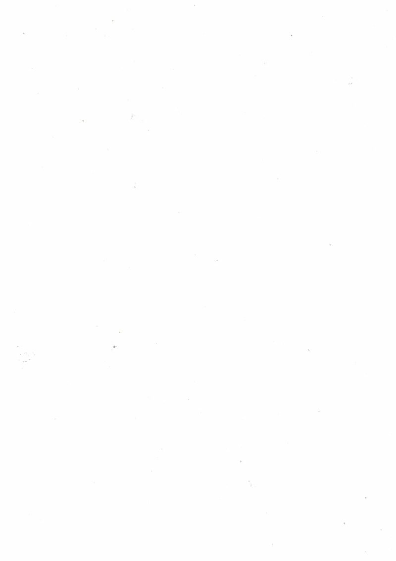 Bst Melamine Panel Plus - Solid